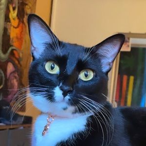 Meet your Posher, Maria